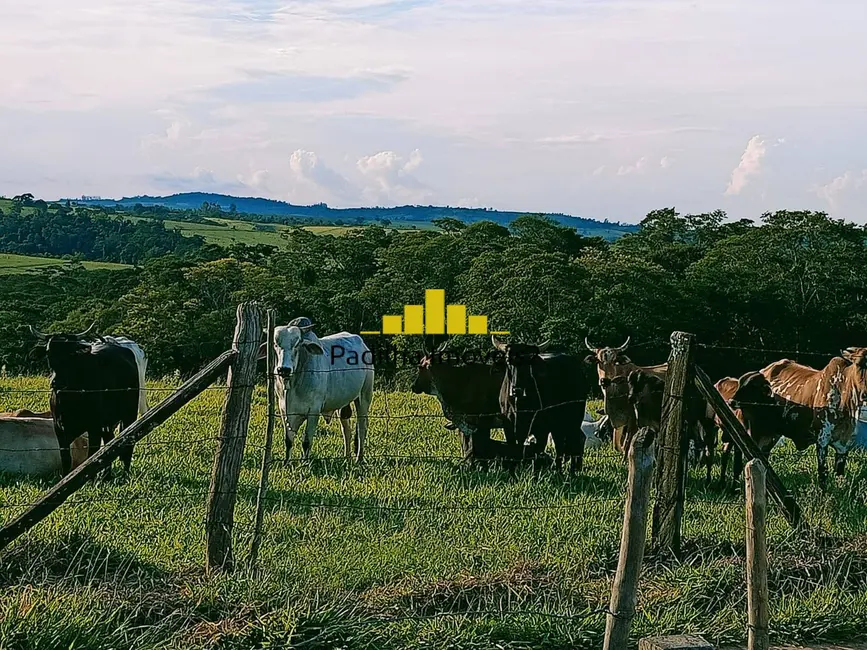 Sítio / Rancho à venda, 10m2 em Alambari - SP - imagem 4 Foto 4 de Sítio / Rancho à venda, 10m2 em Alambari - SP