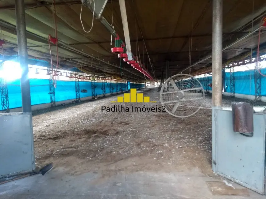 Foto 6 de Fazenda / Haras à venda, 200m2 em Centro, Piracicaba - SP