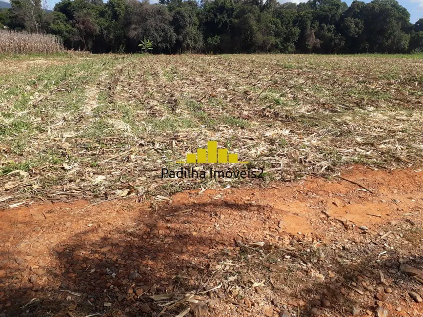 Foto 7 de Terreno / Lote à venda, 5000m2 em Ipero - SP