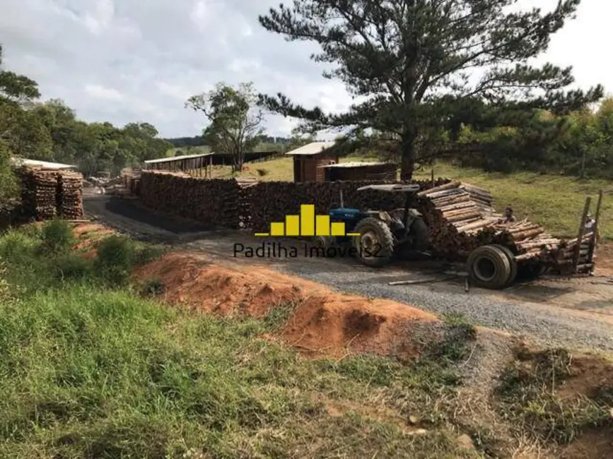 Sítio / Rancho com 5 quartos à venda, 92000m2 em Pilar Do Sul - SP - imagem 9 Foto 9 de Sítio / Rancho com 5 quartos à venda, 92000m2 em Pilar Do Sul - SP