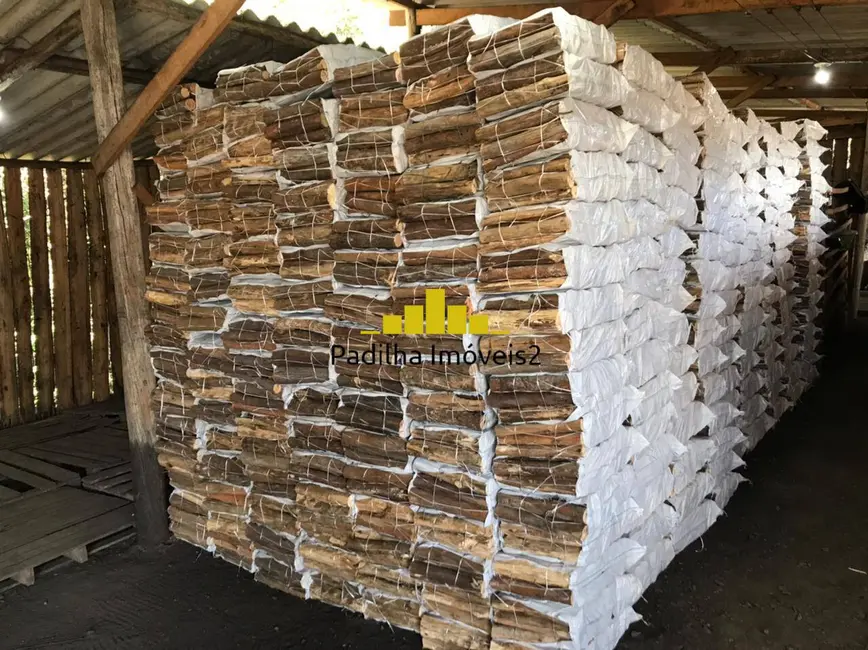 Sítio / Rancho com 5 quartos à venda, 92000m2 em Pilar Do Sul - SP - imagem 6 Foto 6 de Sítio / Rancho com 5 quartos à venda, 92000m2 em Pilar Do Sul - SP