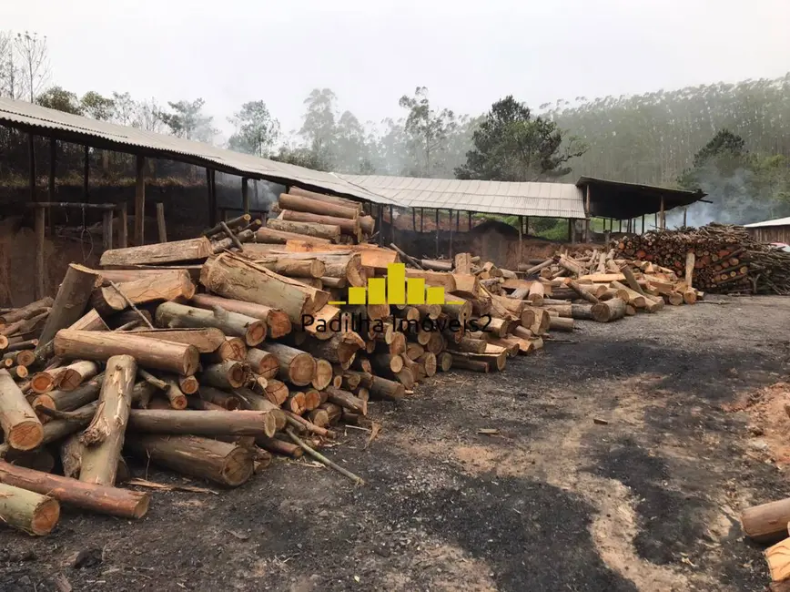 Sítio / Rancho com 5 quartos à venda, 92000m2 em Pilar Do Sul - SP - imagem 8 Foto 8 de Sítio / Rancho com 5 quartos à venda, 92000m2 em Pilar Do Sul - SP