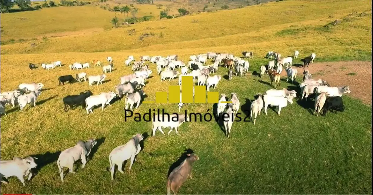 Foto 9 de Fazenda / Haras com 10 quartos à venda, 471m2 em Centro, Sao Sebastiao Da Grama - SP