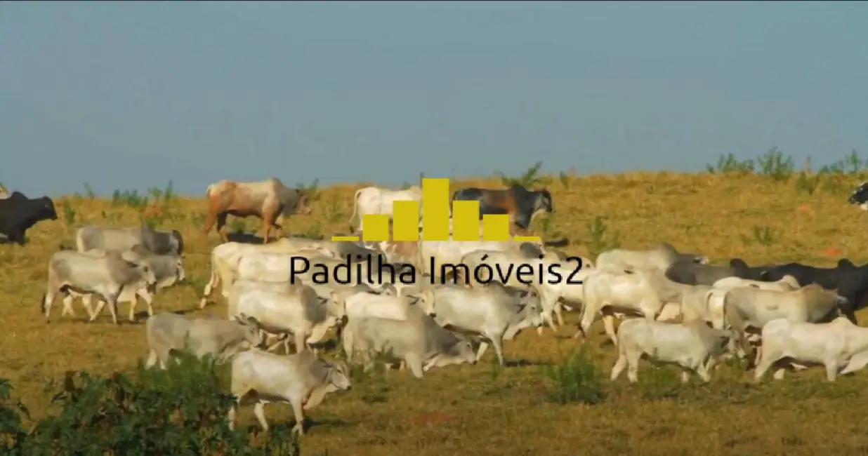 Foto 8 de Fazenda / Haras com 10 quartos à venda, 471m2 em Centro, Sao Sebastiao Da Grama - SP