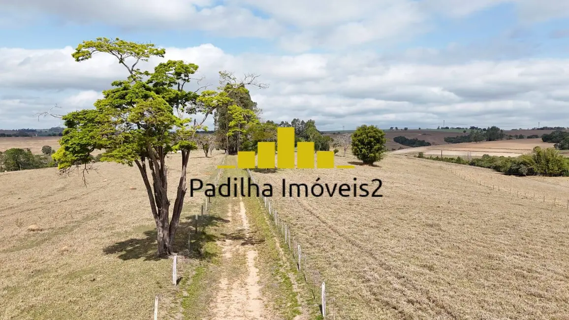 Sítio / Rancho com 4 quartos à venda, 10m2 em Itapetininga - SP - imagem 8 Foto 8 de Sítio / Rancho com 4 quartos à venda, 10m2 em Itapetininga - SP