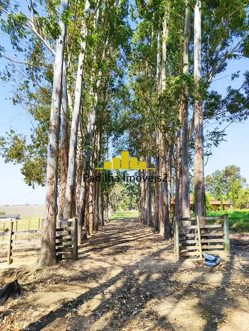 Sítio / Rancho com 4 quartos à venda, 10m2 em Itapetininga - SP - imagem 7 Foto 7 de Sítio / Rancho com 4 quartos à venda, 10m2 em Itapetininga - SP