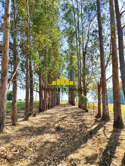 Sítio / Rancho com 4 quartos à venda, 10m2 em Itapetininga - SP - imagem 5 Foto 5 de Sítio / Rancho com 4 quartos à venda, 10m2 em Itapetininga - SP