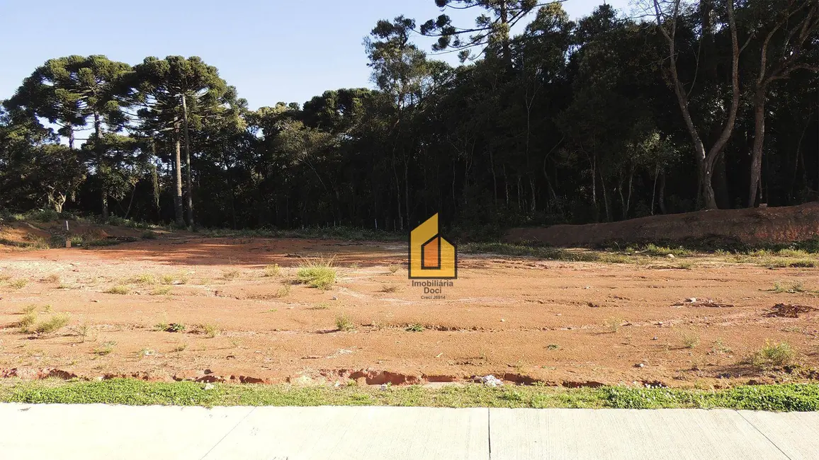 Foto 6 de Terreno / Lote à venda, 363m2 em Capela Velha, Araucaria - PR