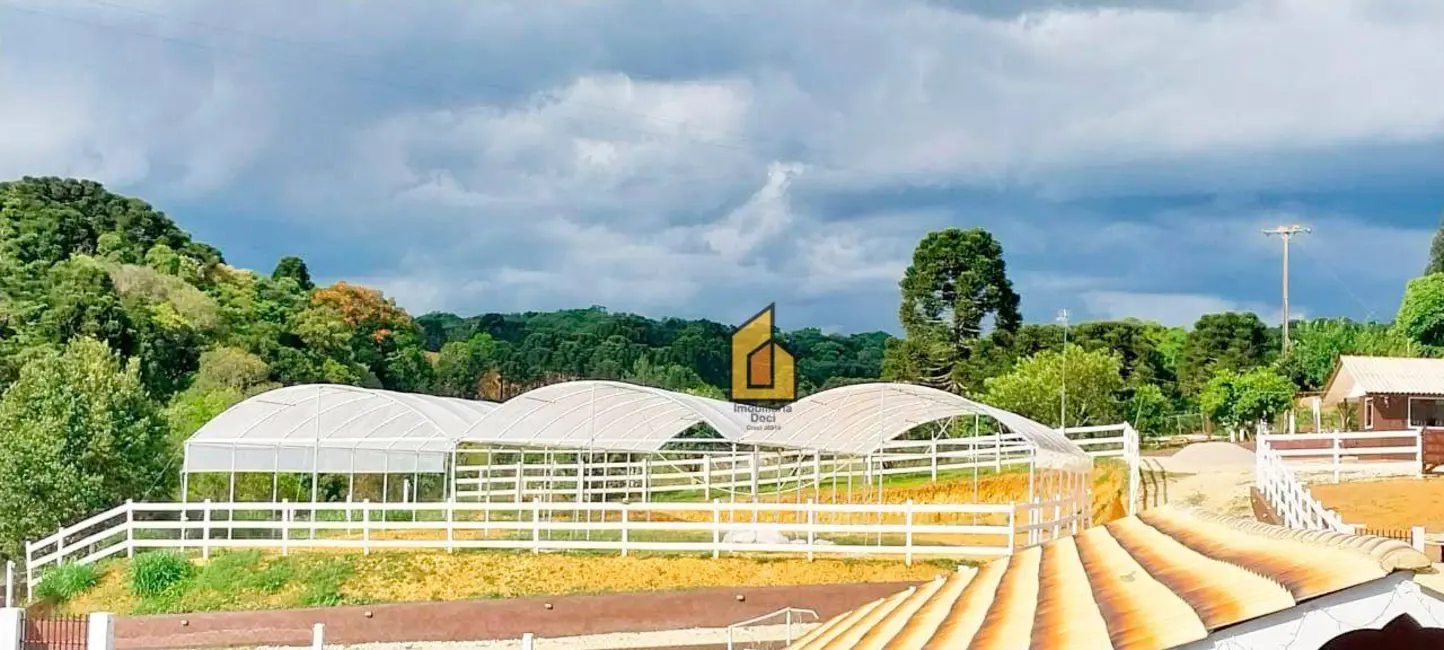 Chácara com 2 quartos à venda, 7000m2 em Contenda - PR - imagem 9 Foto 9 de Chácara com 2 quartos à venda, 7000m2 em Contenda - PR