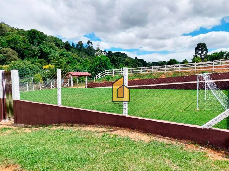 Chácara com 2 quartos à venda, 7000m2 em Contenda - PR - imagem 8 Foto 8 de Chácara com 2 quartos à venda, 7000m2 em Contenda - PR