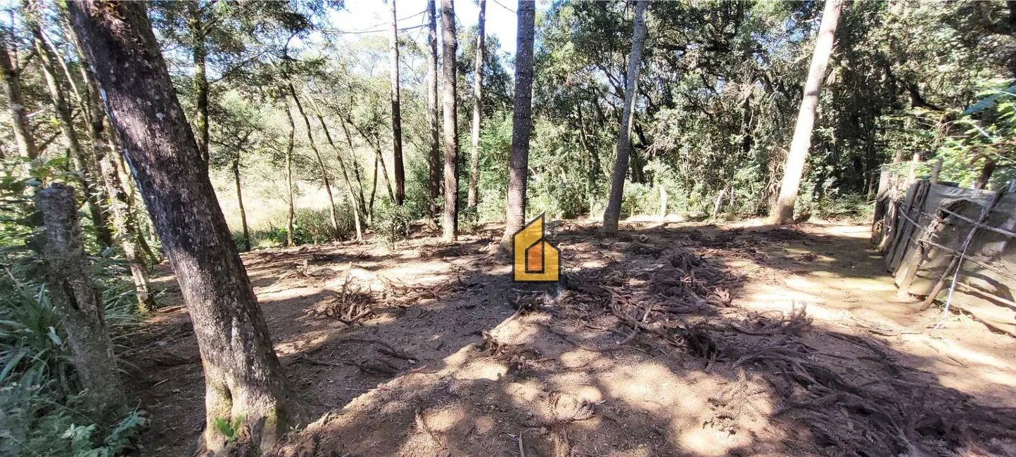 Foto 6 de Chácara à venda, 2722m2 em Tietê, Araucaria - PR