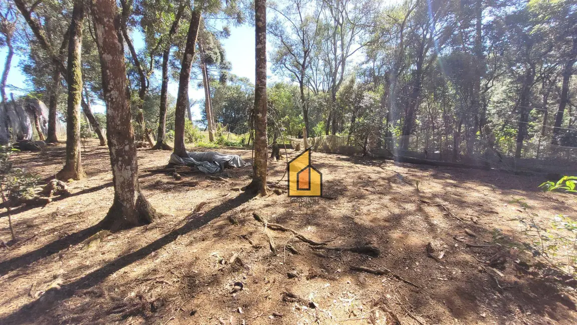 Foto 8 de Chácara à venda, 2722m2 em Tietê, Araucaria - PR
