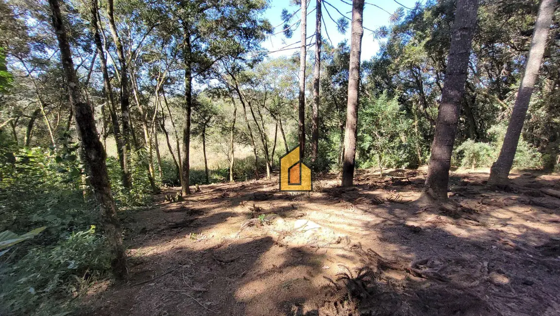 Foto 7 de Chácara à venda, 2722m2 em Tietê, Araucaria - PR
