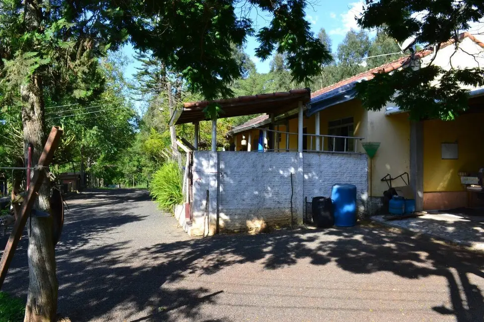 Foto 5 de Sítio / Rancho com 2 quartos à venda em Itarare - SP