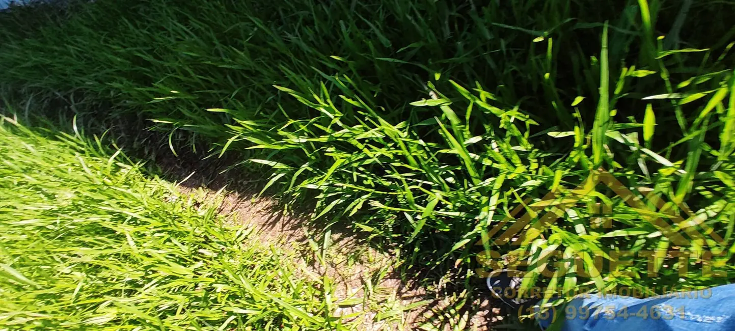 Terreno / Lote à venda, 868m2 em Riviera de São Lourenço, Bertioga - SP - imagem 4 Foto 4 de Terreno / Lote à venda, 868m2 em Riviera de São Lourenço, Bertioga - SP