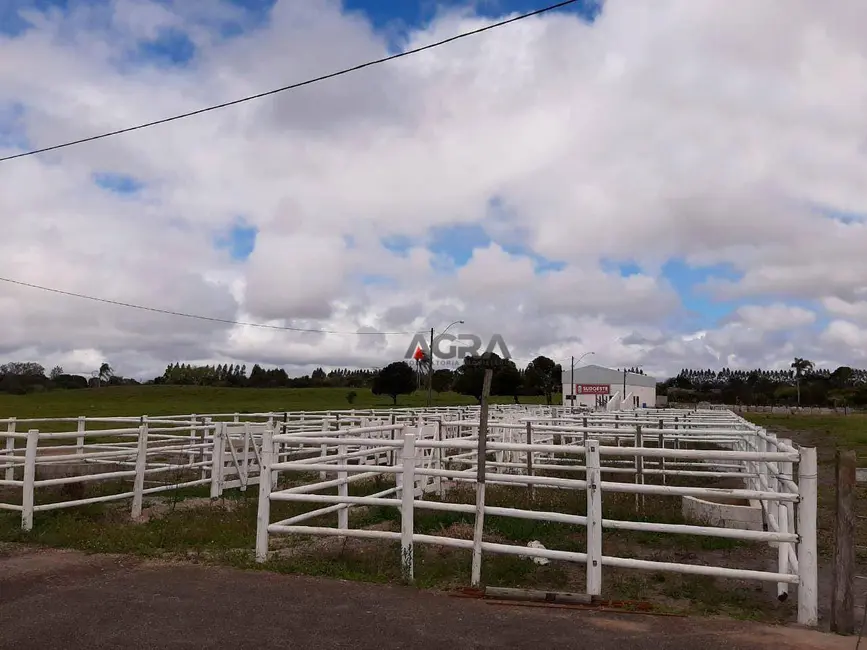 Foto 5 de Fazenda / Haras à venda, 1000m2 em Universidade, Vitoria Da Conquista - BA