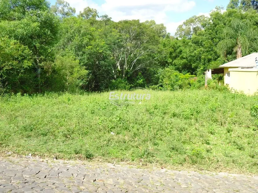 Foto 1 de Chácara com 3 quartos à venda, 115000m2 em Chácara das Flores, Santa Maria - RS