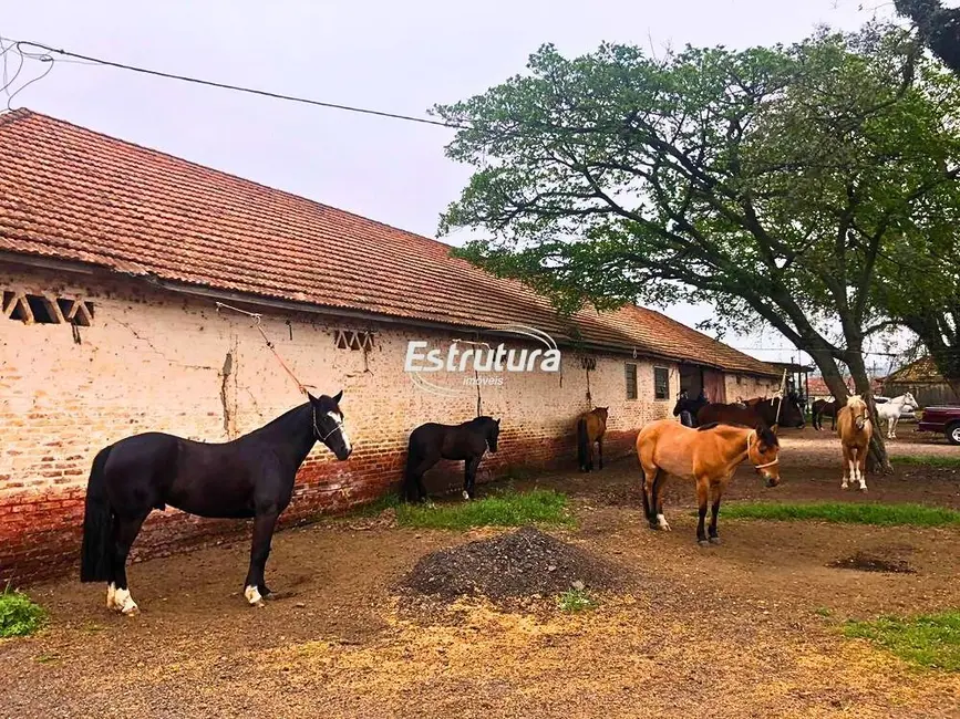 Foto 1 de Chácara com 1 quarto à venda, 20000m2 em Pinheiro Machado, Santa Maria - RS