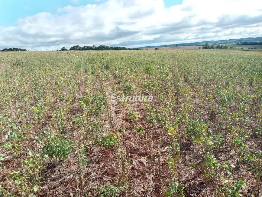 Foto 1 de Fazenda / Haras à venda, 480000m2 em Área Rural de Santo Ângelo, Santo Angelo - RS