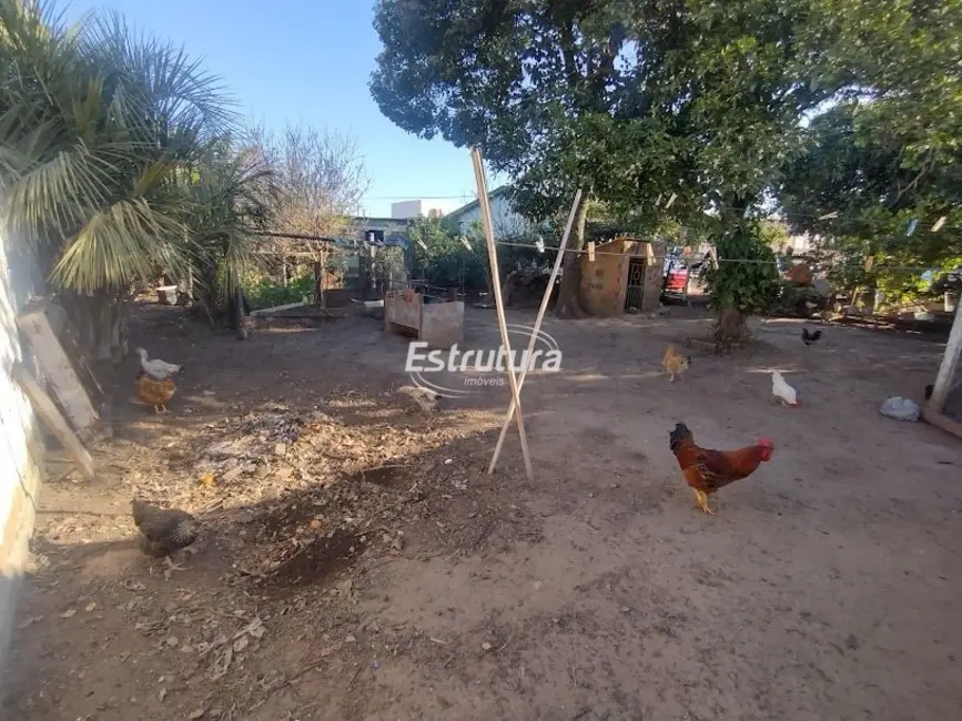 Foto 1 de Terreno / Lote à venda, 250m2 em Boi Morto, Santa Maria - RS