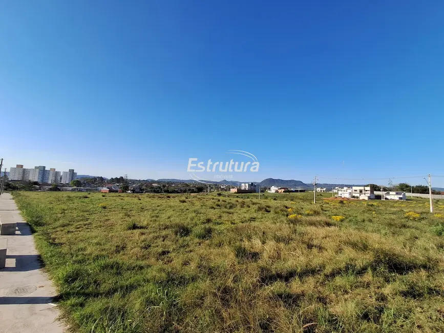 Foto 2 de Terreno / Lote à venda, 1181m2 em Pinheiro Machado, Santa Maria - RS