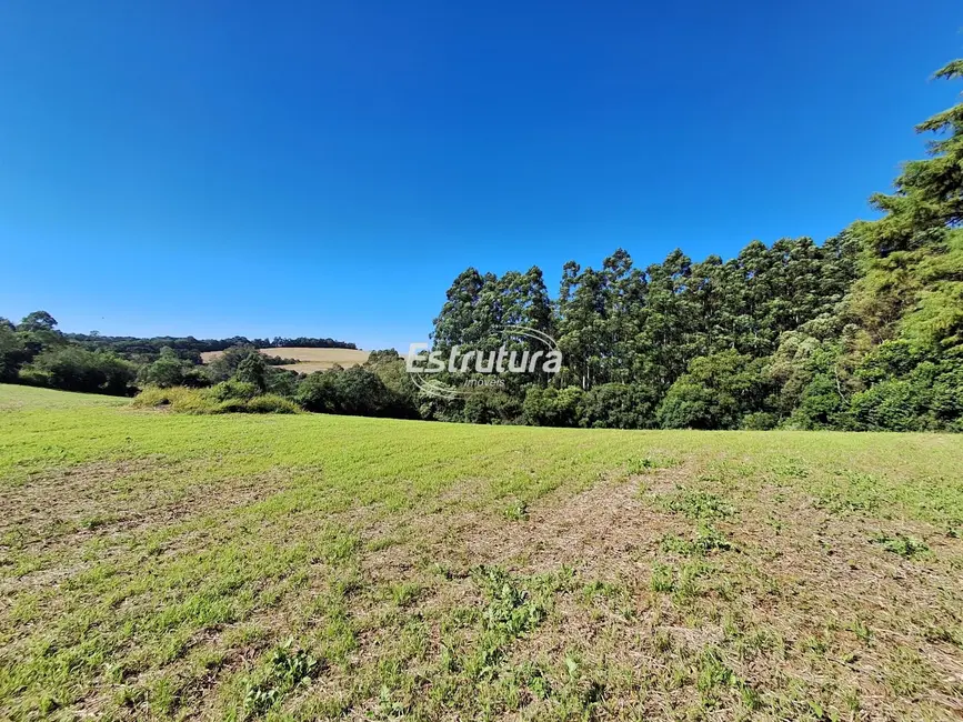 Foto 1 de Chácara com 2 quartos à venda em Silveira Martins - RS