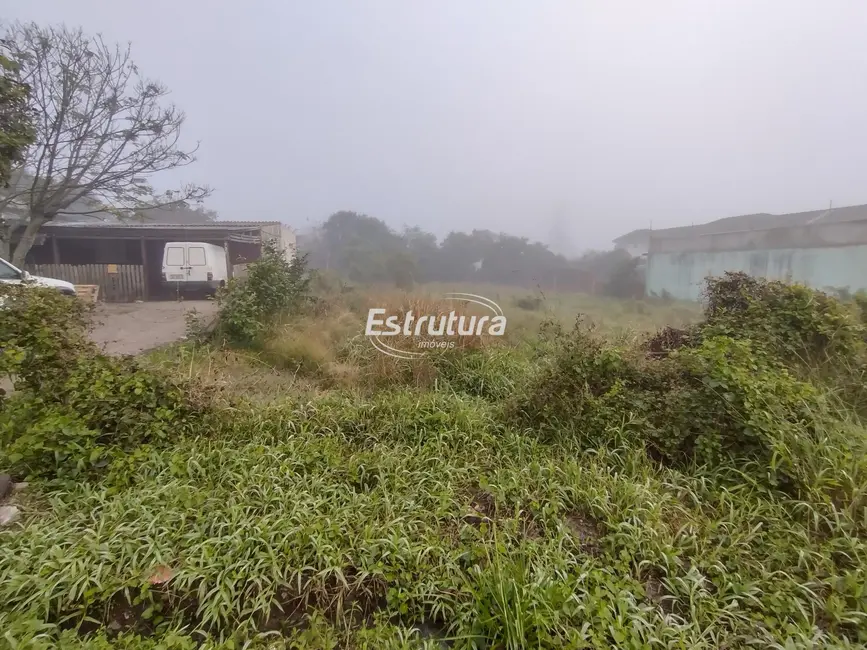 Foto 2 de Terreno / Lote à venda, 470m2 em Pinheiro Machado, Santa Maria - RS