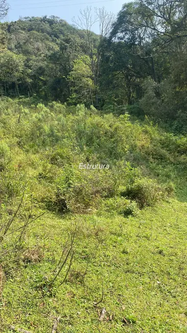 Foto 2 de Chácara à venda, 30000m2 em Itaara - RS