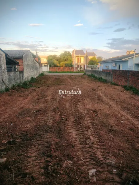 Foto 1 de Terreno / Lote com 2 quartos à venda, 430m2 em Divina Providência, Santa Maria - RS