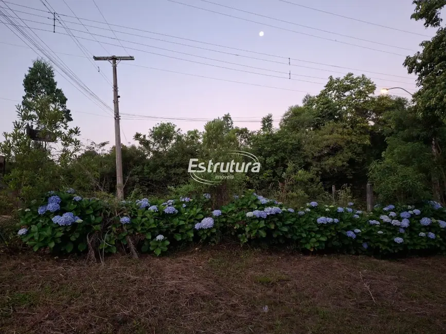 Foto 4 de Casa com 1 quarto para alugar, 58m2 em Itaara - RS