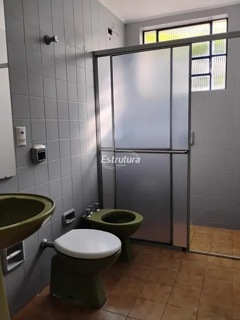 Foto 4 de Casa com 3 quartos para alugar, 245m2 em Centro, Santa Maria - RS