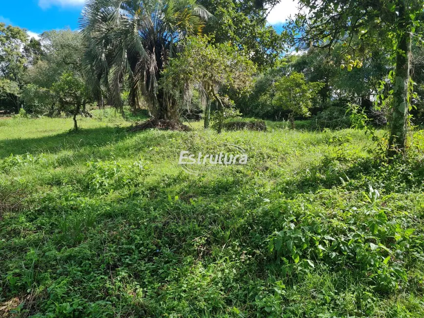 Terreno / Lote à venda, 520m2 em Campestre do Menino Deus, Santa Maria - RS - imagem 7 Foto 7 de Terreno / Lote à venda, 520m2 em Campestre do Menino Deus, Santa Maria - RS