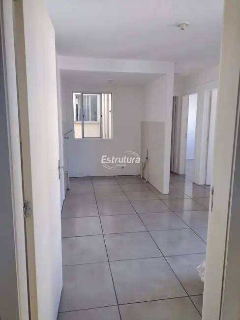 Foto 3 de Apartamento com 2 quartos à venda, 38m2 em Urlândia, Santa Maria - RS