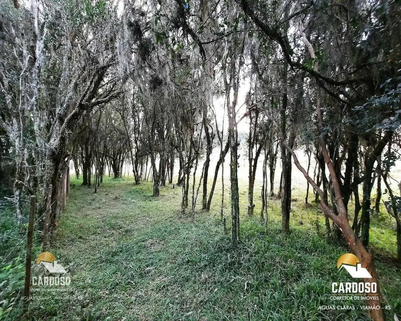 Sítio / Rancho com 3 quartos à venda, 20000m2 em Viamao - RS - imagem 5 Foto 5 de Sítio / Rancho com 3 quartos à venda, 20000m2 em Viamao - RS