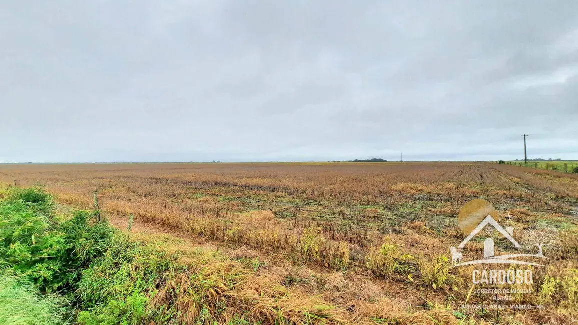 Foto 5 de Fazenda / Haras à venda, 1830000m2 em Centro, Viamao - RS