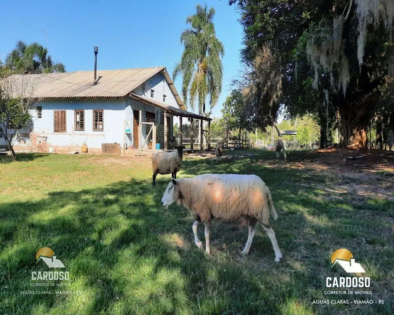 Foto 9 de Sítio / Rancho com 4 quartos à venda, 120000m2 em Viamao - RS