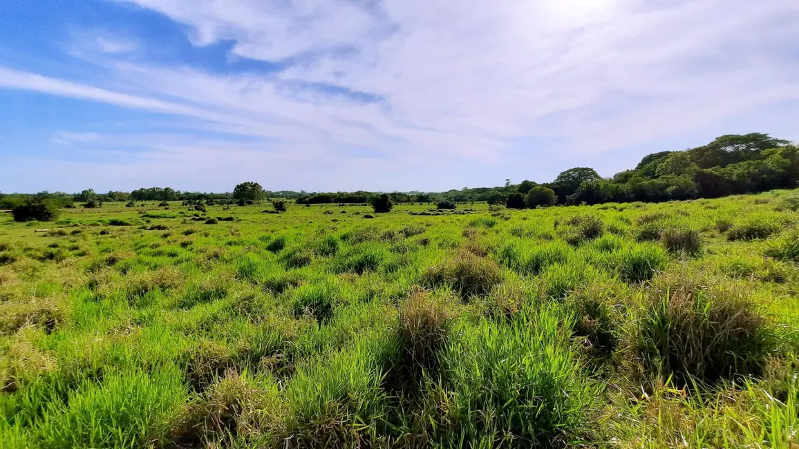 Foto 2 de Fazenda / Haras com 3 quartos à venda, 280000m2 em Viamao - RS