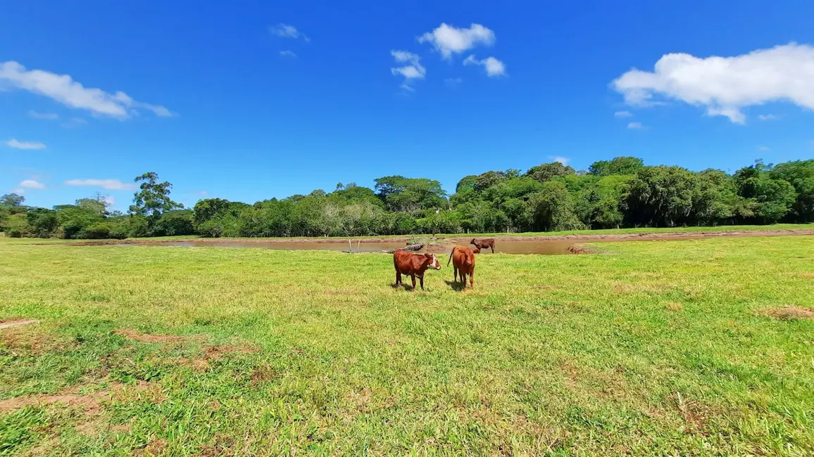 Sítio / Rancho com 4 quartos à venda, 40000m2 em Viamao - RS - imagem 9 Foto 9 de Sítio / Rancho com 4 quartos à venda, 40000m2 em Viamao - RS