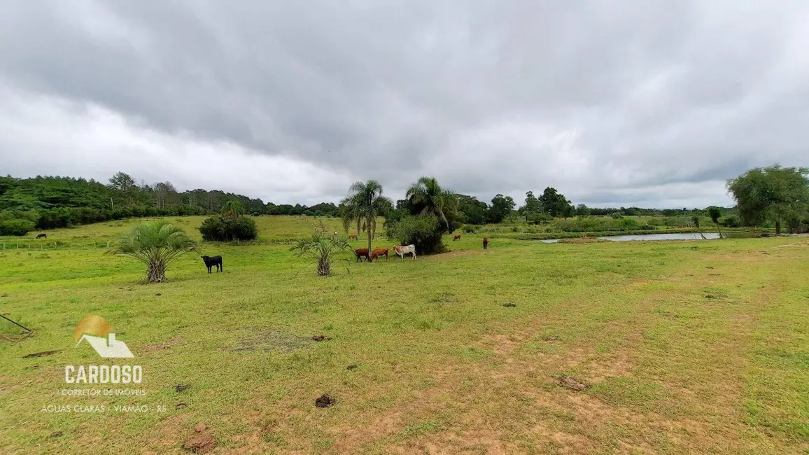 Sítio / Rancho à venda, 52000m2 em Viamao - RS - imagem 3 Foto 3 de Sítio / Rancho à venda, 52000m2 em Viamao - RS
