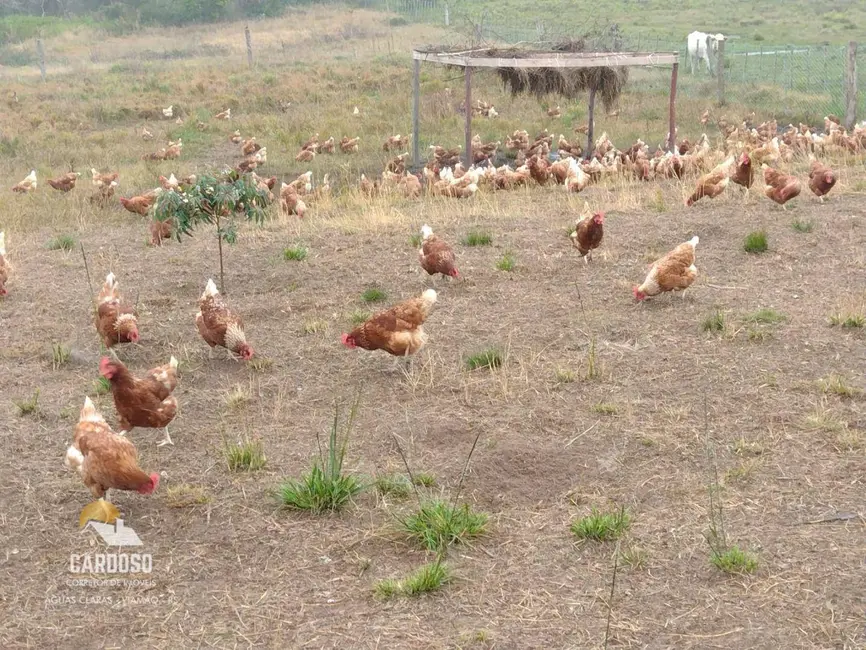 Foto 9 de Sítio / Rancho à venda, 40000m2 em Viamao - RS