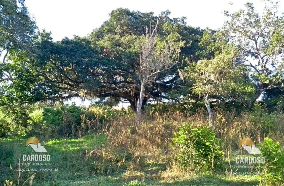 Foto 4 de Sítio / Rancho à venda, 189000m2 em Viamao - RS
