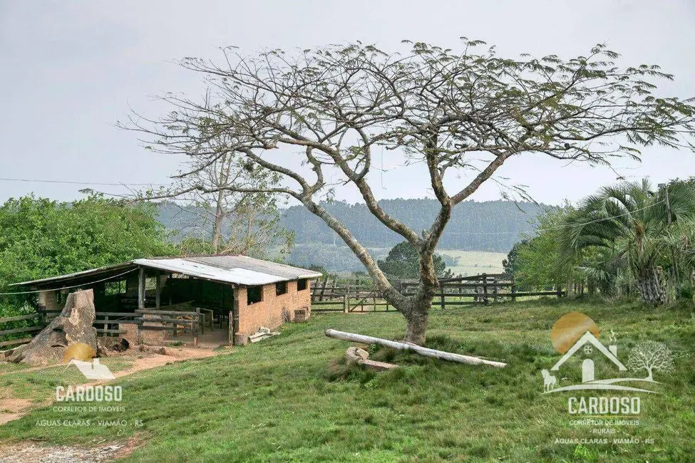 Sítio / Rancho à venda, 274000m2 em Viamao - RS - imagem 6 Foto 6 de Sítio / Rancho à venda, 274000m2 em Viamao - RS