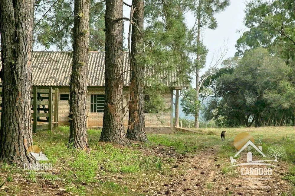 Foto 2 de Sítio / Rancho à venda, 274000m2 em Viamao - RS