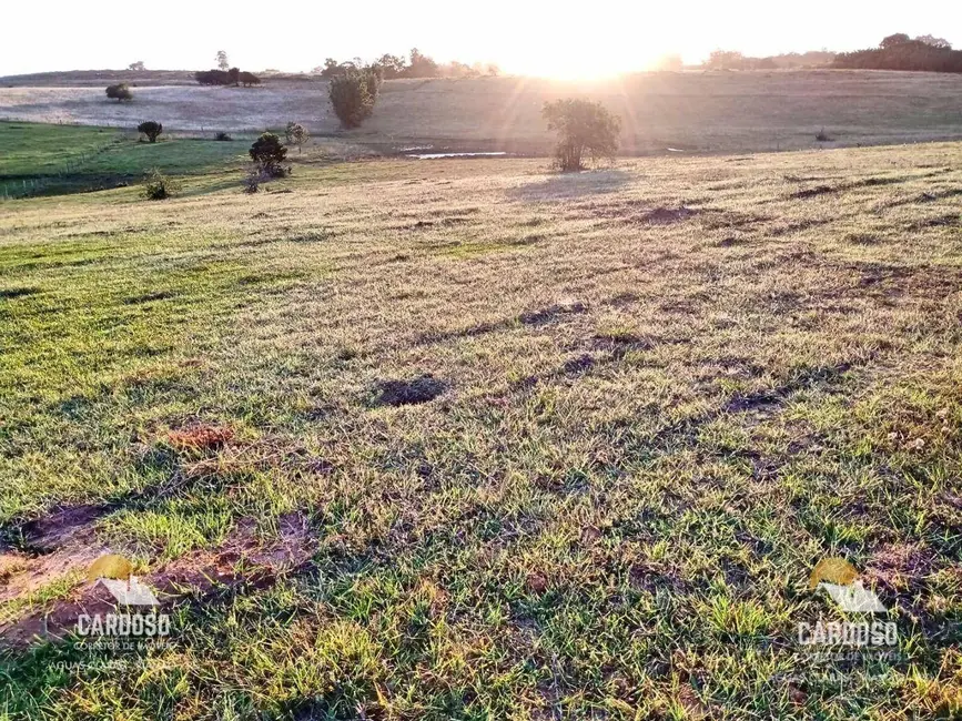Foto 1 de Sítio / Rancho à venda, 60000m2 em Viamao - RS