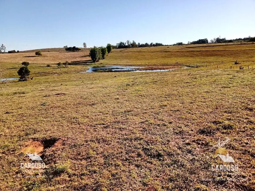 Foto 2 de Sítio / Rancho à venda, 60000m2 em Viamao - RS