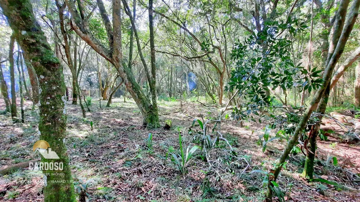 Sítio / Rancho à venda, 12000m2 em Viamao - RS - imagem 3 Foto 3 de Sítio / Rancho à venda, 12000m2 em Viamao - RS