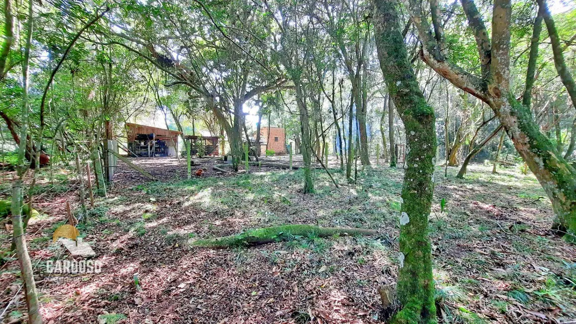 Sítio / Rancho à venda, 12000m2 em Viamao - RS - imagem 6 Foto 6 de Sítio / Rancho à venda, 12000m2 em Viamao - RS