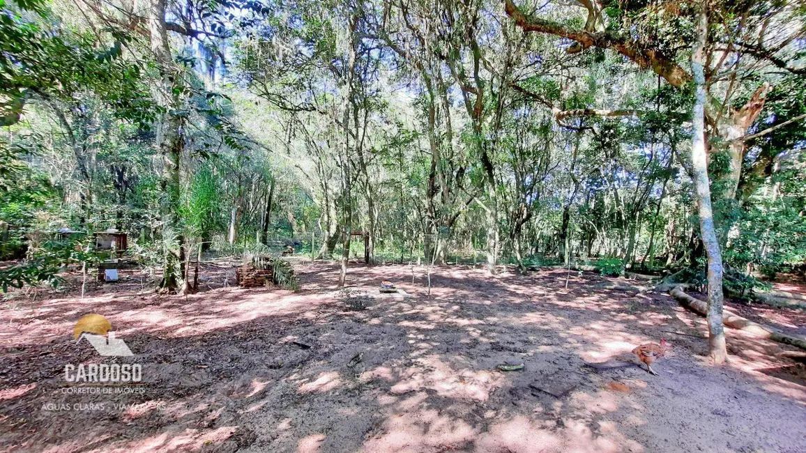 Sítio / Rancho à venda, 12000m2 em Viamao - RS - imagem 7 Foto 7 de Sítio / Rancho à venda, 12000m2 em Viamao - RS
