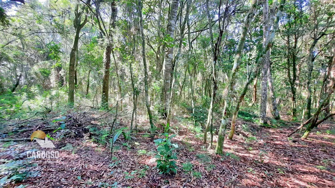 Sítio / Rancho à venda, 12000m2 em Viamao - RS - imagem 4 Foto 4 de Sítio / Rancho à venda, 12000m2 em Viamao - RS
