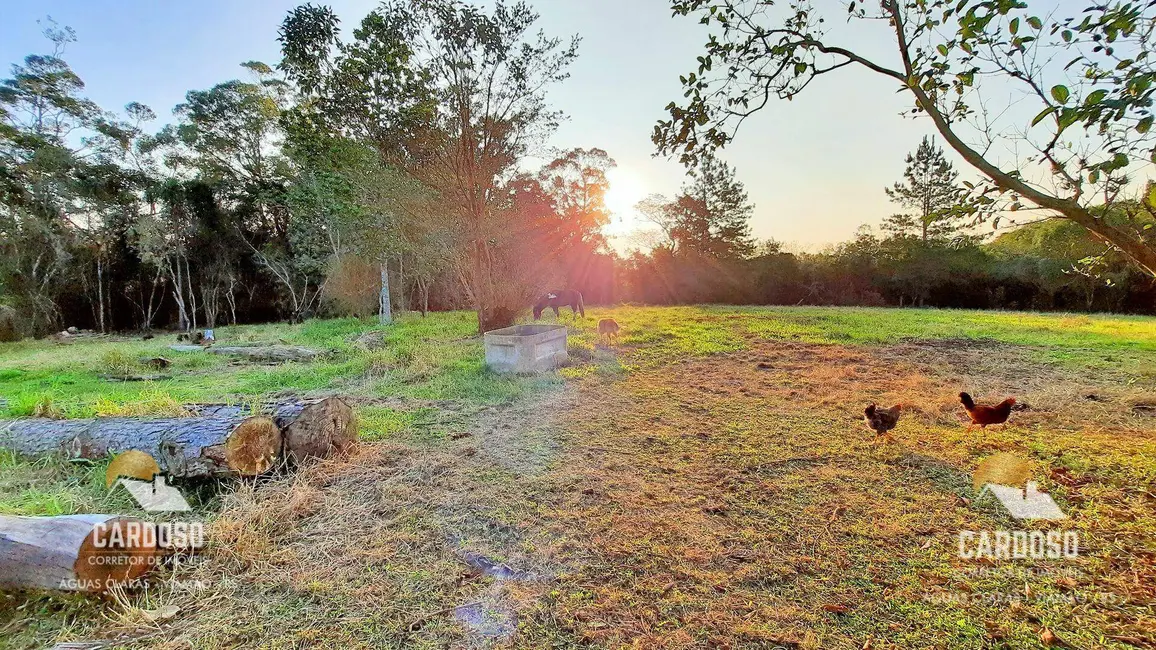 Sítio / Rancho à venda, 30000m2 em Passo do Vigário, Viamao - RS - imagem 5 Foto 5 de Sítio / Rancho à venda, 30000m2 em Passo do Vigário, Viamao - RS